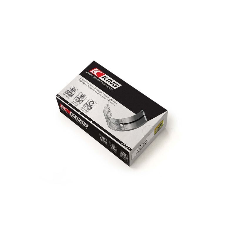 AEM Brute Force Intake System B.F.S.300/MAGNUM/CHARGER 3.5L